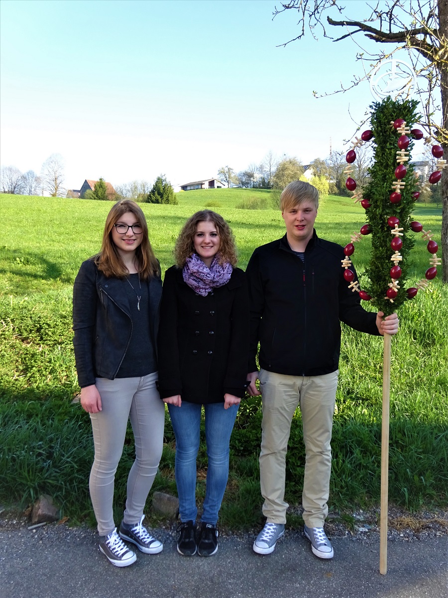 Palmen 2017